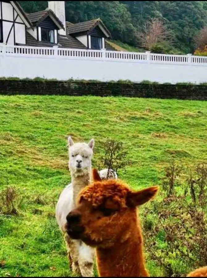 Skyline Mountain View Cottage Rotorua 0*,  New Zealand