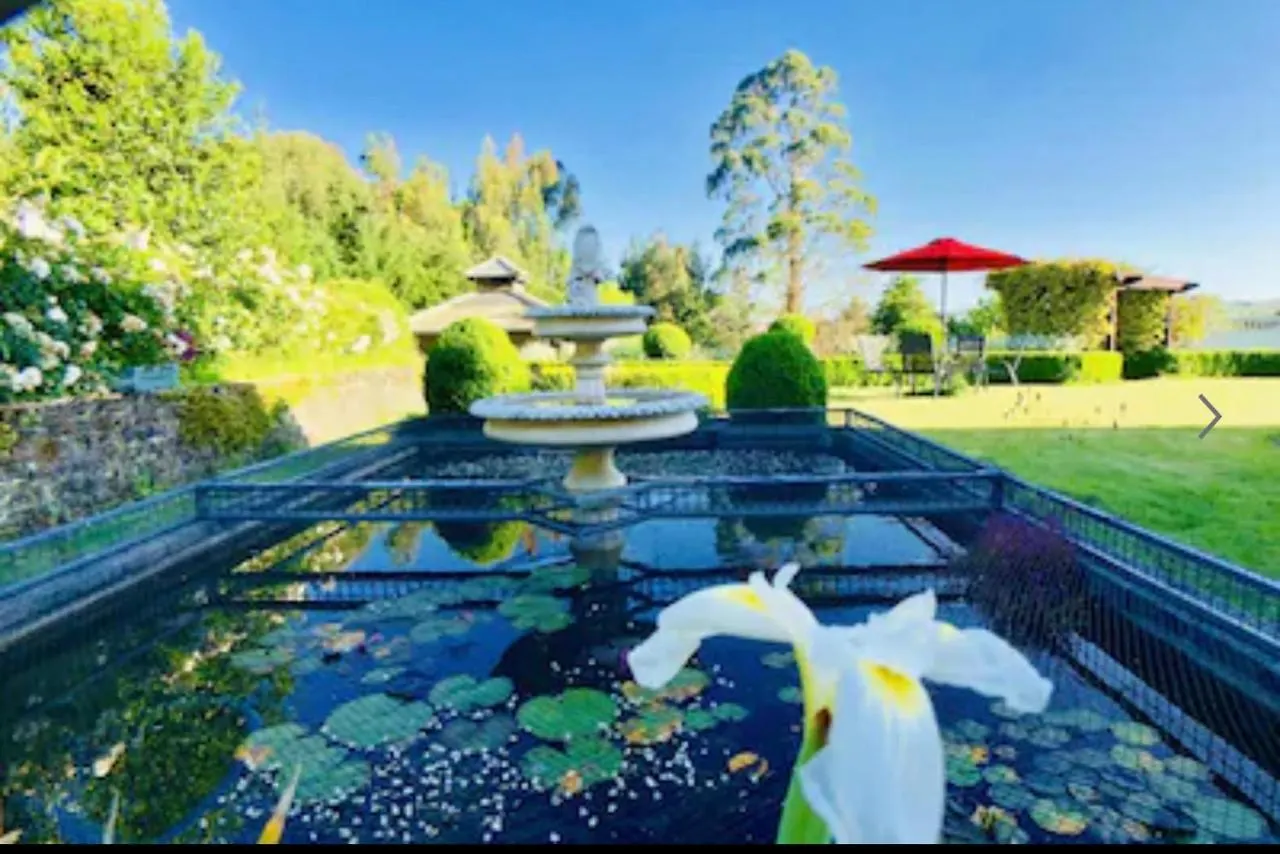Holiday home Skyline Mountain View Cottage Rotorua New Zealand